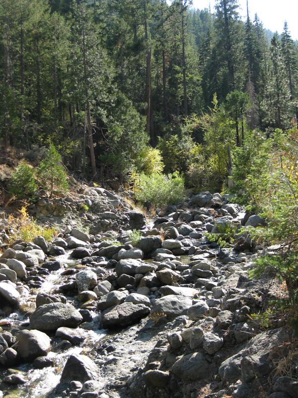 Creek 
