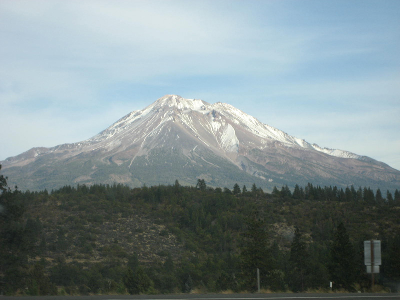 shasta-01